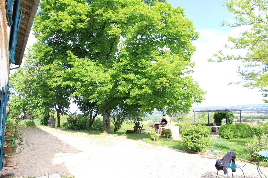 Bed and Breakfast La Pigario Lisle-sur-Tarn Екстер'єр фото